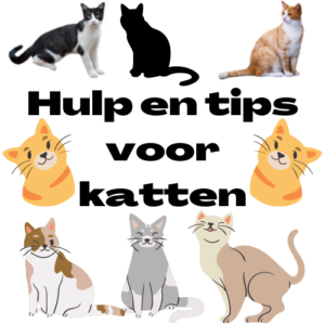 Hulp en tips voor katten
